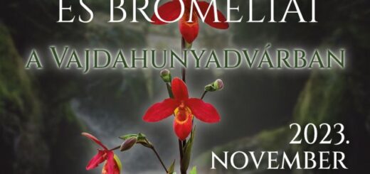 Dél-Amerika orchideái és broméliái