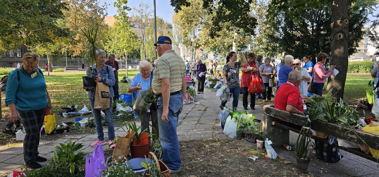 v-r-a-13-balkonada-tal-lkoz-s-n-v-nycsere-balkonada