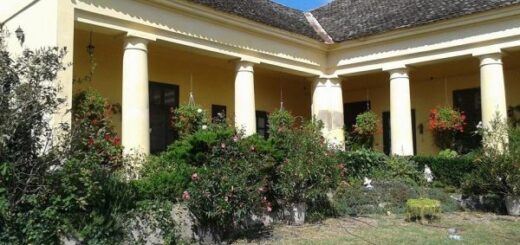 zöld oázis az egykori Orczy-kúriában