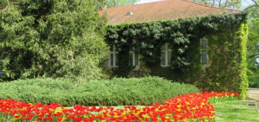 Vácrátóti botankus kert