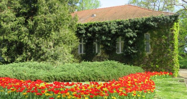 Vácrátóti botankus kert