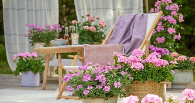 mediterrán hangulat muskátlival