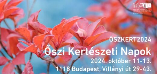 Őszkert 2024 plakátja