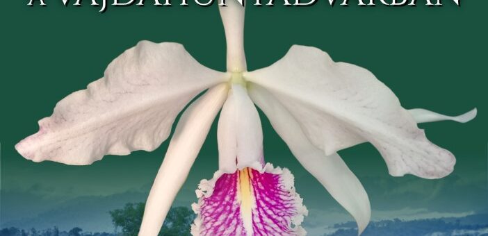 orchidea kiállítás plakát