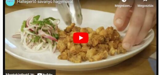 haltepertő savanyú hagymával