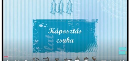 káposztás csuka