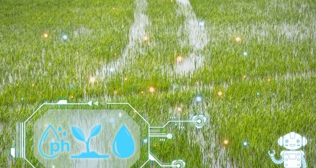 mezőgazdasági állások