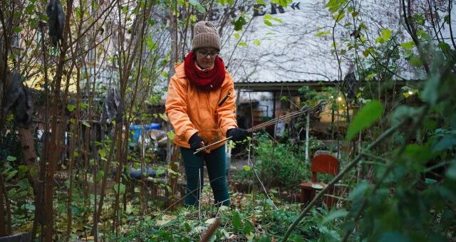 a vízmegtartás a nagyvárosok fontos feladata