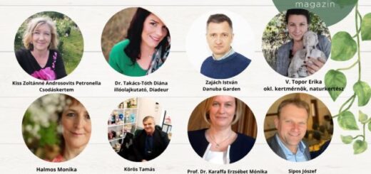 KertAkadémia plakát