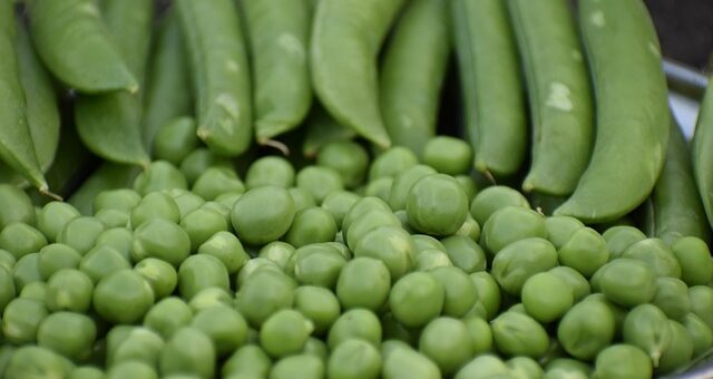 zöldborsó hüvelyben és borsó szemek