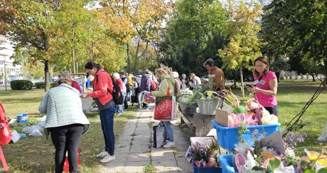 15. Balkonada találkozó