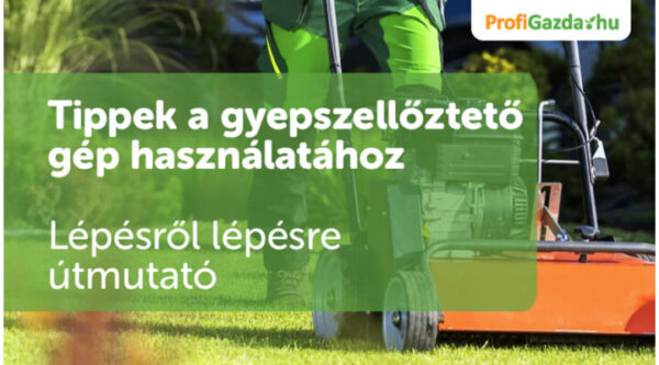 tippek a gyepszellőztető gép használatához