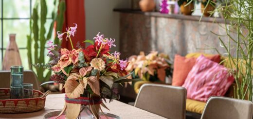 Mikulásvirág dísz