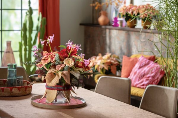 Mikulásvirág dísz